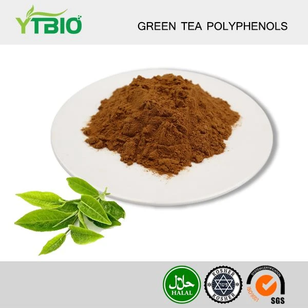 Green te polifenol