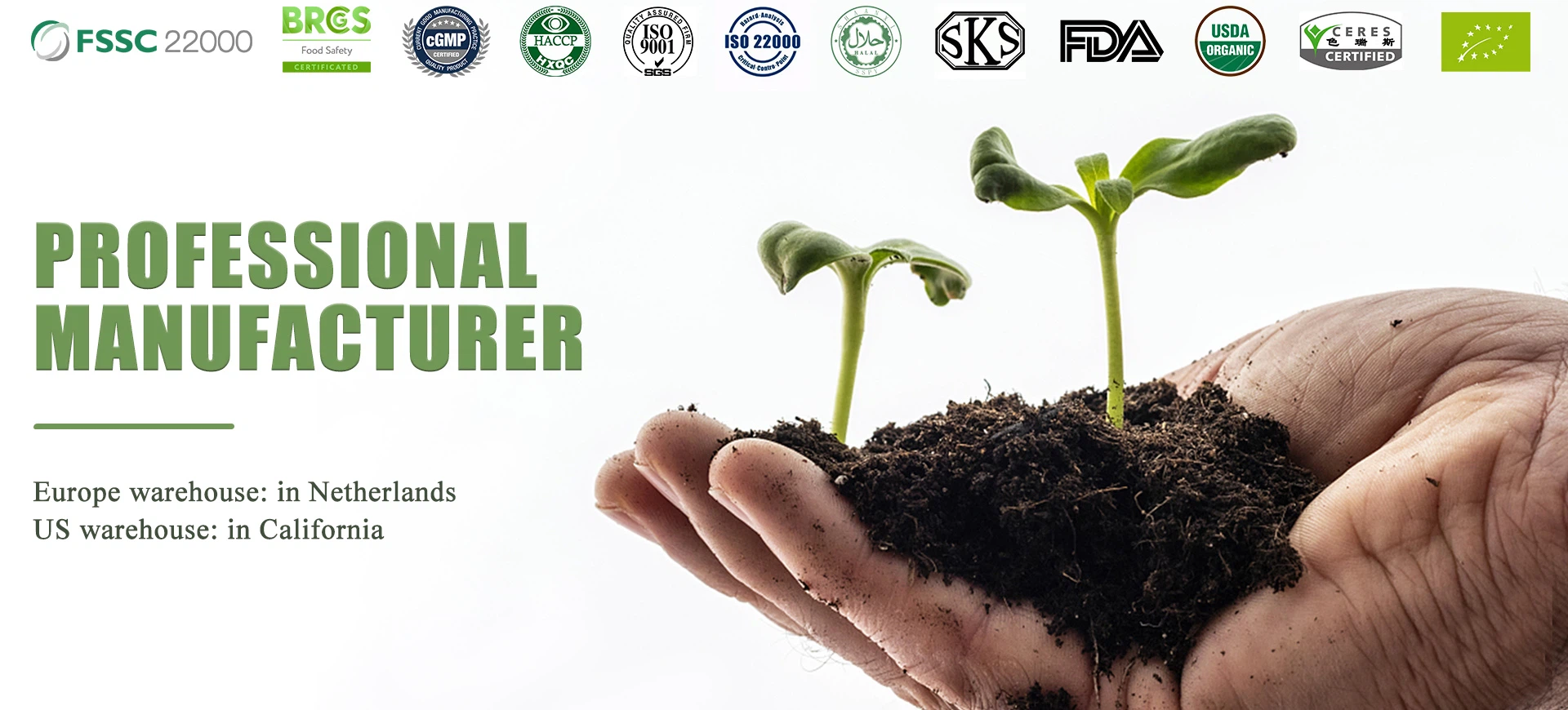 Company's main business