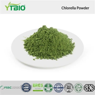 Chlorella Powder