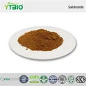 Salidroside poud